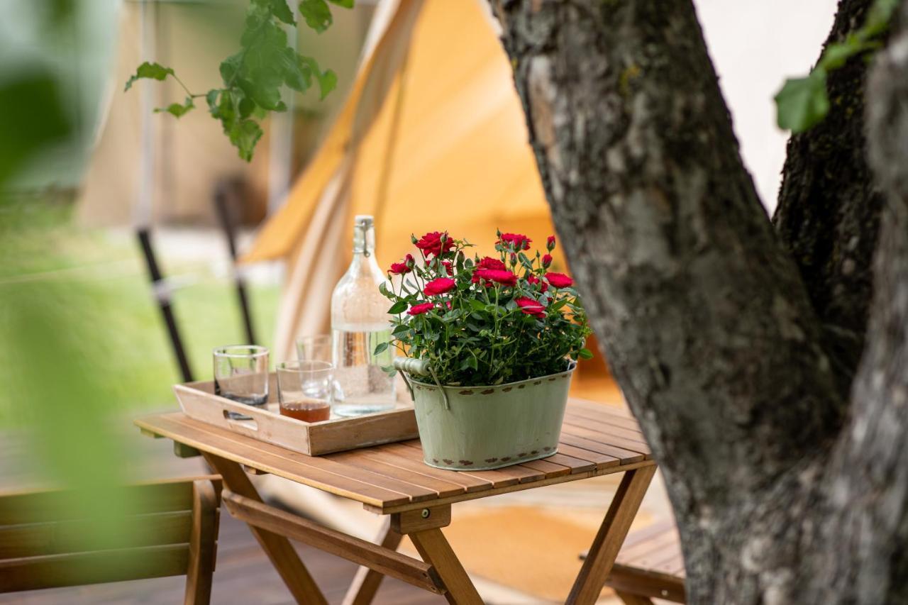 Dragonfly Gardens Urban Glamping Brasov Hotel Ngoại thất bức ảnh