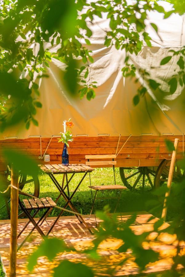 Dragonfly Gardens Urban Glamping Brasov Hotel Ngoại thất bức ảnh